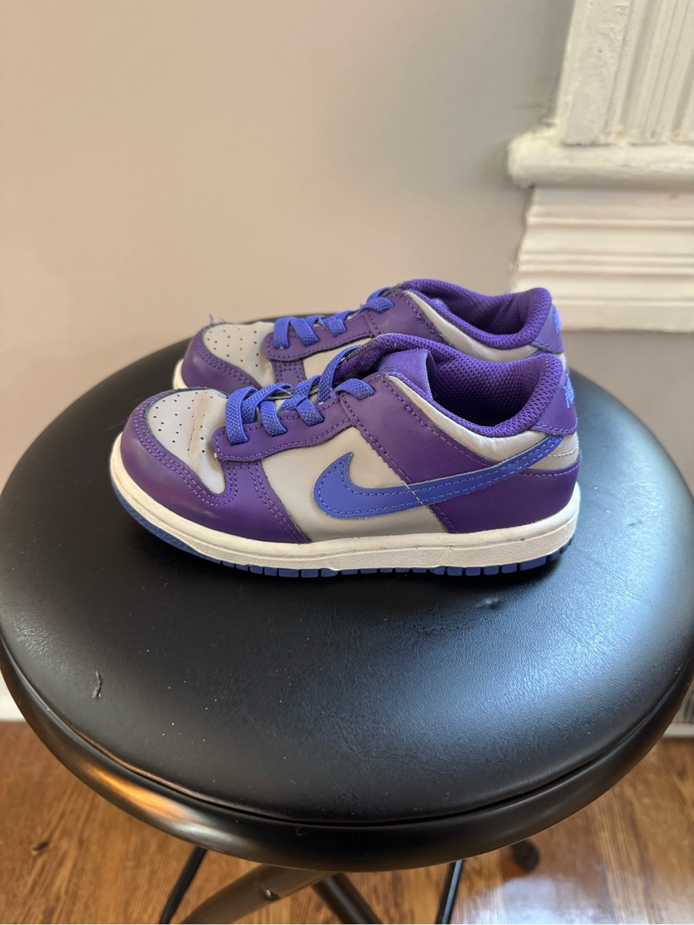 Purple Nike Dunk Low Toddler Sneakers size 10c
